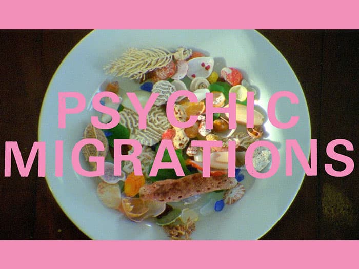 Stream Psychic Migrations Soundtrack ft. Thee Oh Sees, White Fence, Wand, Al Lover, and more