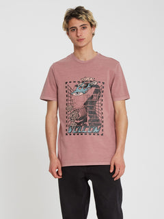Clouder T-shirt - ROSE BROWN (A5212207_RSB) [180]