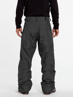 L GORE-TEX PANT (G1351904_BTS) [04]